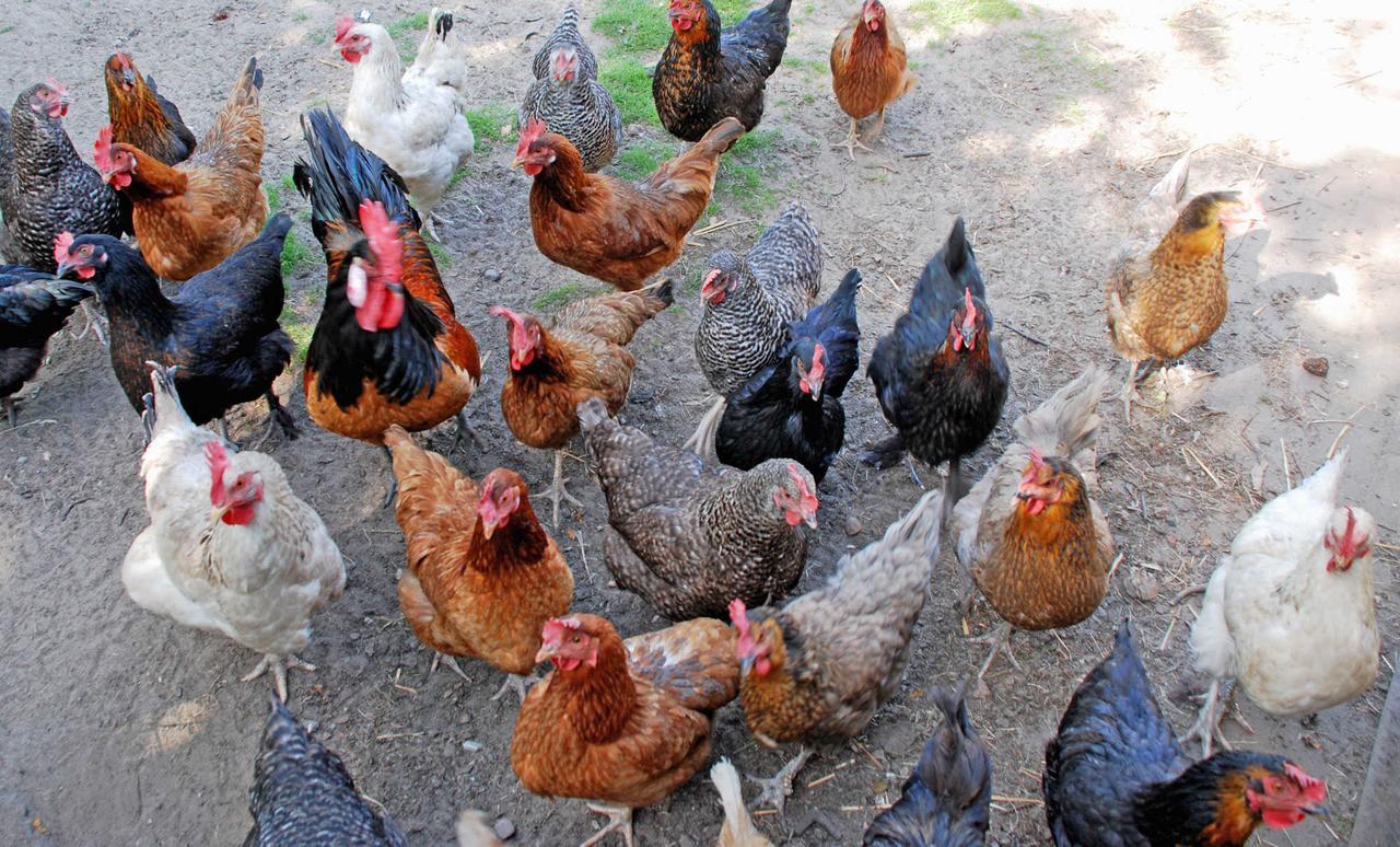 Ferienwohnungen An Der Hagenschen Middelhagen Dış mekan fotoğraf